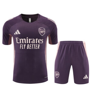 Unisex Arsenal 2024/25 Training Adult Jersey+Short 14001
