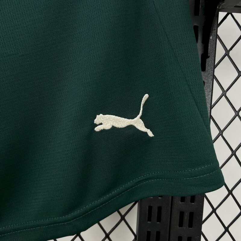 Portugal 2025/26 Home Shorts - Image 3