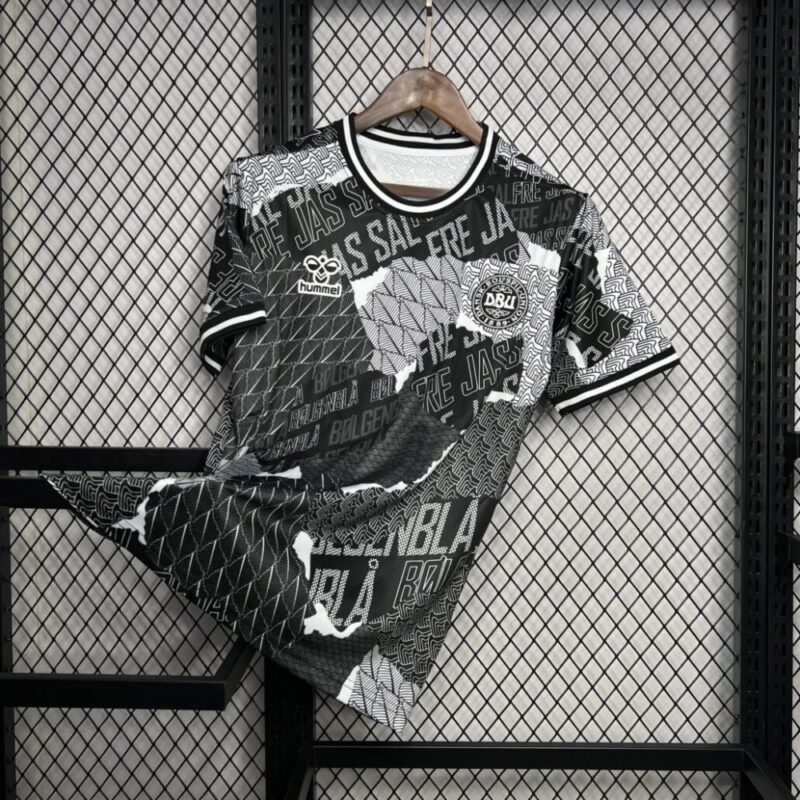 Denmark 2024/25 Euro Pre-match training Jersey