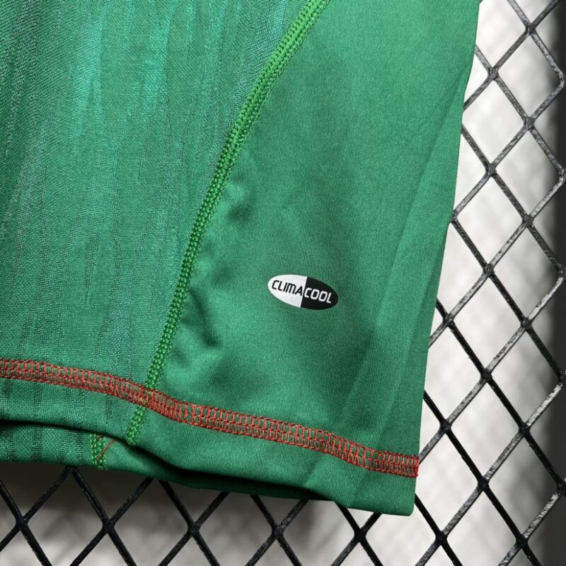 Mexico 2010 Home Retro Jersey - Image 5