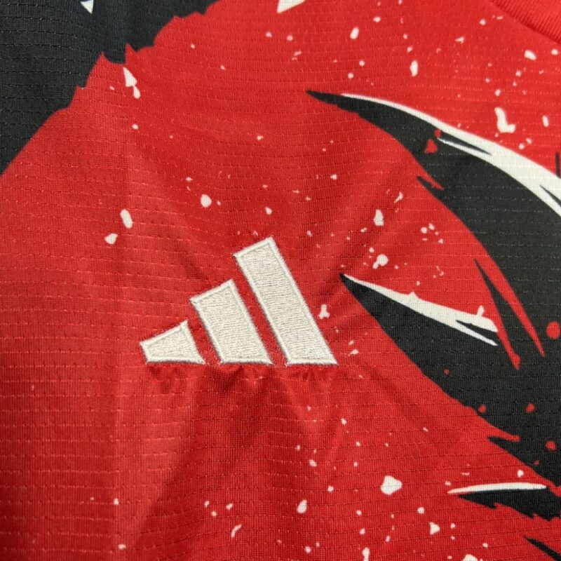 Japan 2024/25 ¥«¥«¥í¥Ã¥È Jersey - Image 3