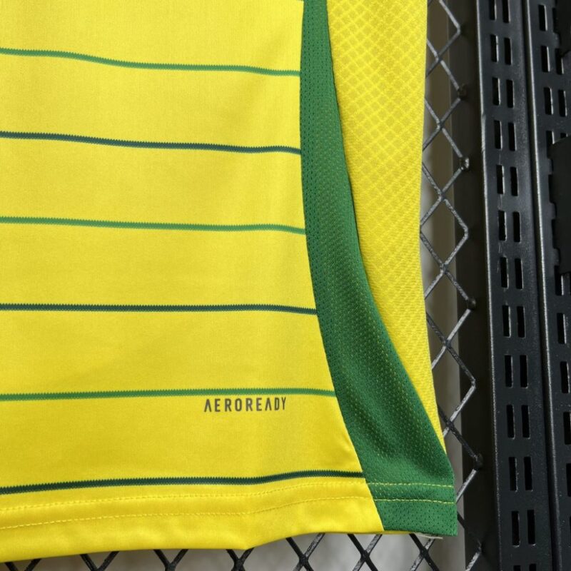 Celtic 2024/25 Away Jersey - Image 3