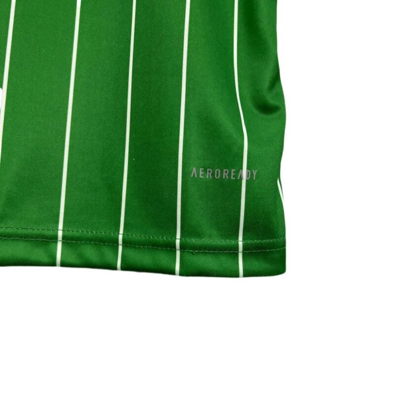 Celtic 2024/25 Commemorative Edition Jersey - Image 7