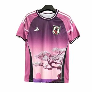 Japan 2024/25 Special Edition Jersey