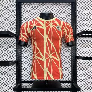 Bayern Munich 2024/25 Special Edition Jersey Player Version