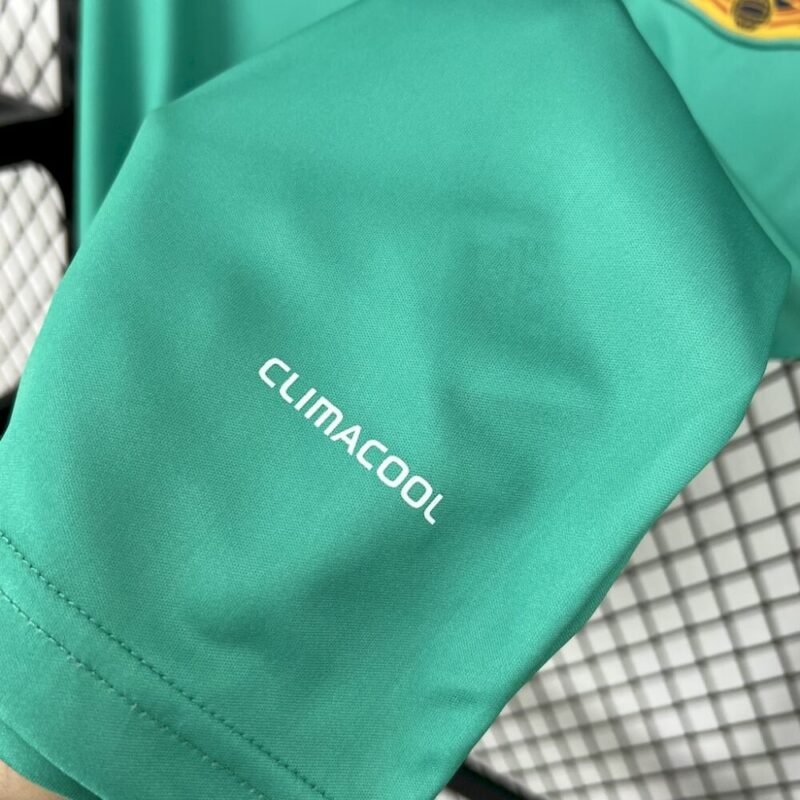 Spain 2010 Goalkeeper Jersey Retro Jersey - Image 7