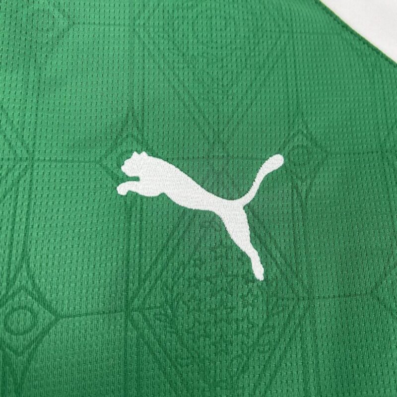 Palmeiras 2025/26 Home Jersey - Image 6