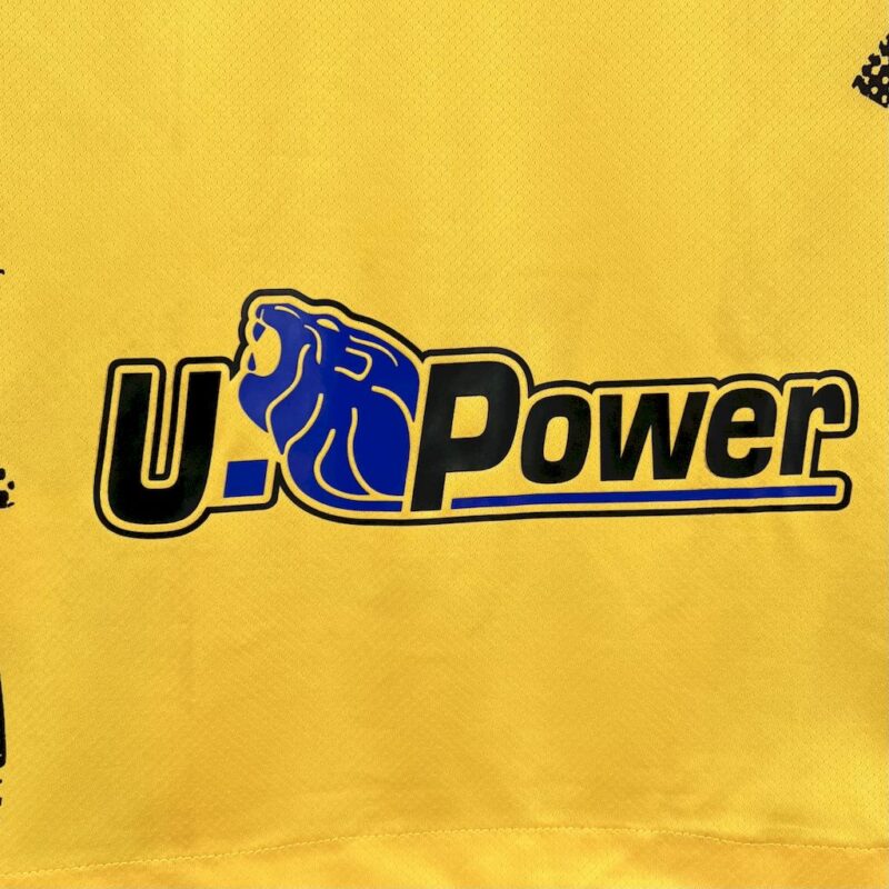 Inter Milan 2024/25 Third Jersey - Image 3