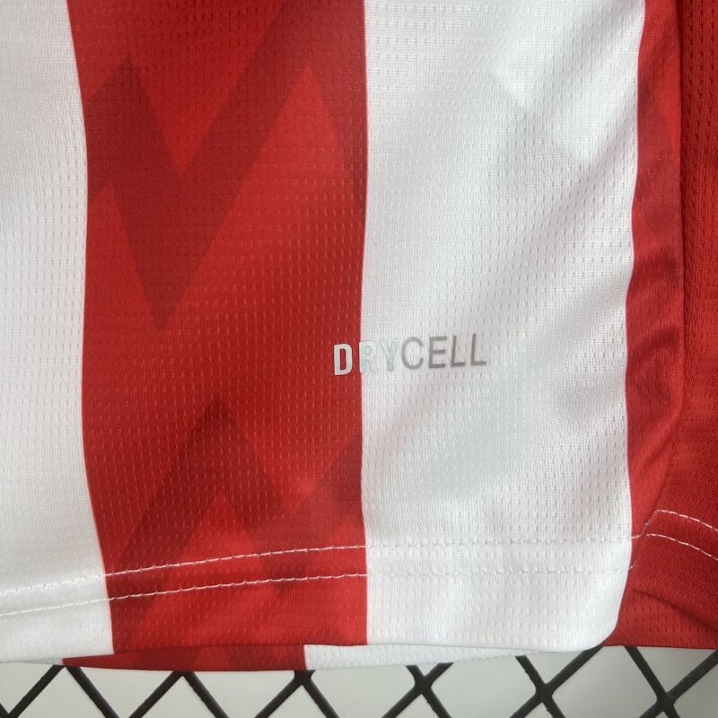 PSV Eindhoven 2025/26 Home Jersey - Image 6